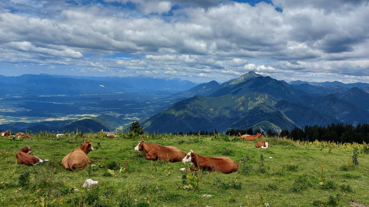Apartma Krvavec - Cosy Mountain Retreat Cerklje na Gorenjskem Eksteriør billede
